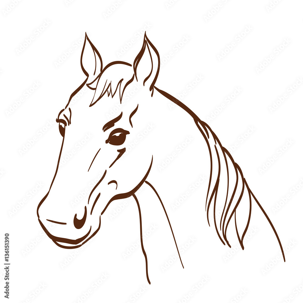 Fototapeta Horse head made in line art style on white. Equestrian school or