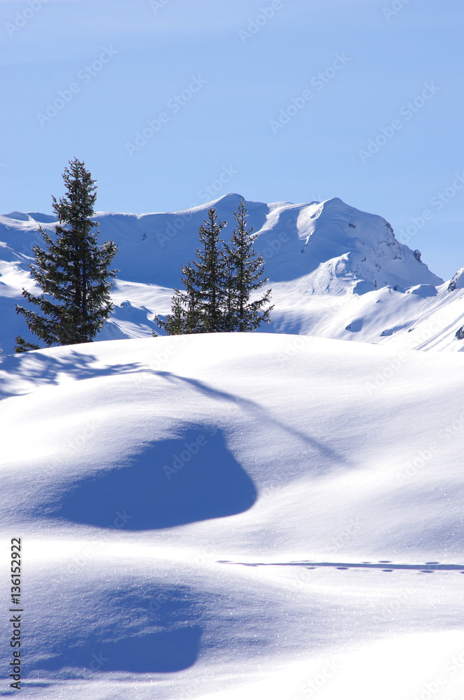 paysage alpin - massif du beaufortain