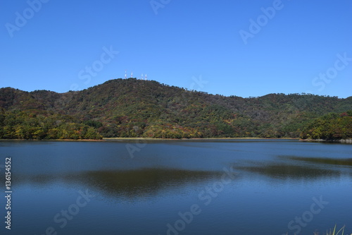 ラムサール条約登録地 大山上池・大山下池 ／ 山形県鶴岡市大山にある灌漑用のため池です。国指定の鳥獣保護区と特別保護地区に指定され、さらに国際的に重要な湿地を保全する「ラムサール条約」にも登録されました。また、2010年には農林水産省の「ため池百選」にも選定されています。 © FRANK