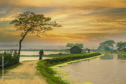 Village road of Bangladesh during sunset photo