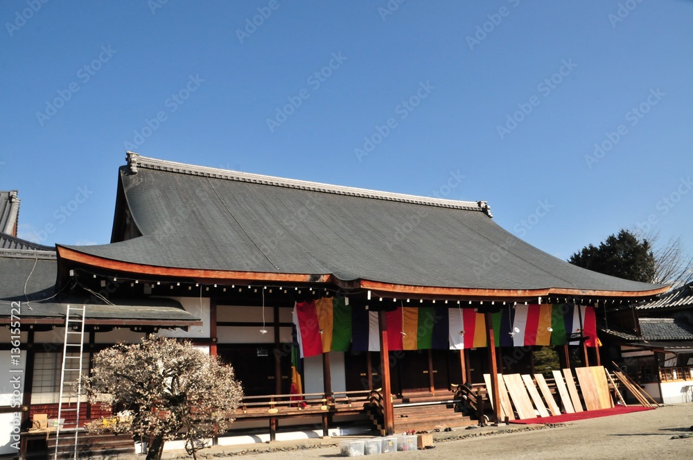 聖護院 聖護院