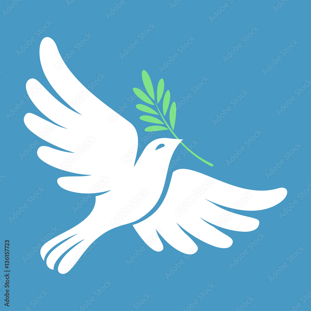 Obraz premium Silhouette of a flying dove with olive branch. White pigeon