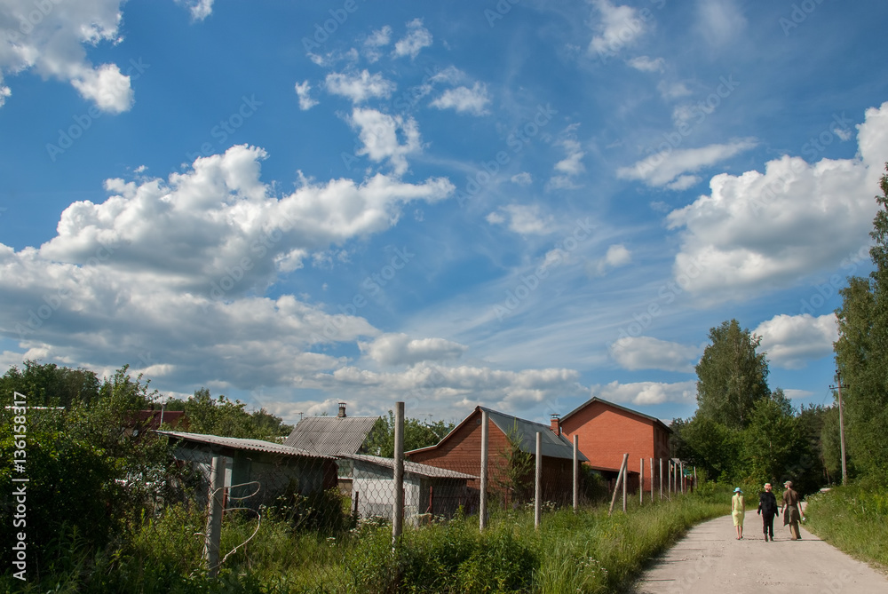 The idyllic summer walk in the forest rural road