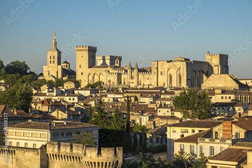 Aerial view of Palais des Papes, UNESCO World Heritage Site, and