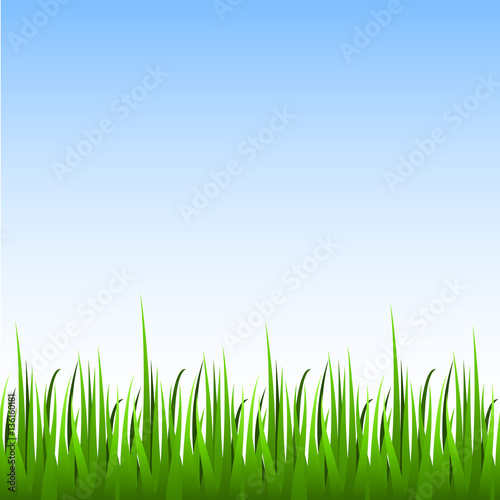 Seamless green grass with blue sky horizontal vector background.
