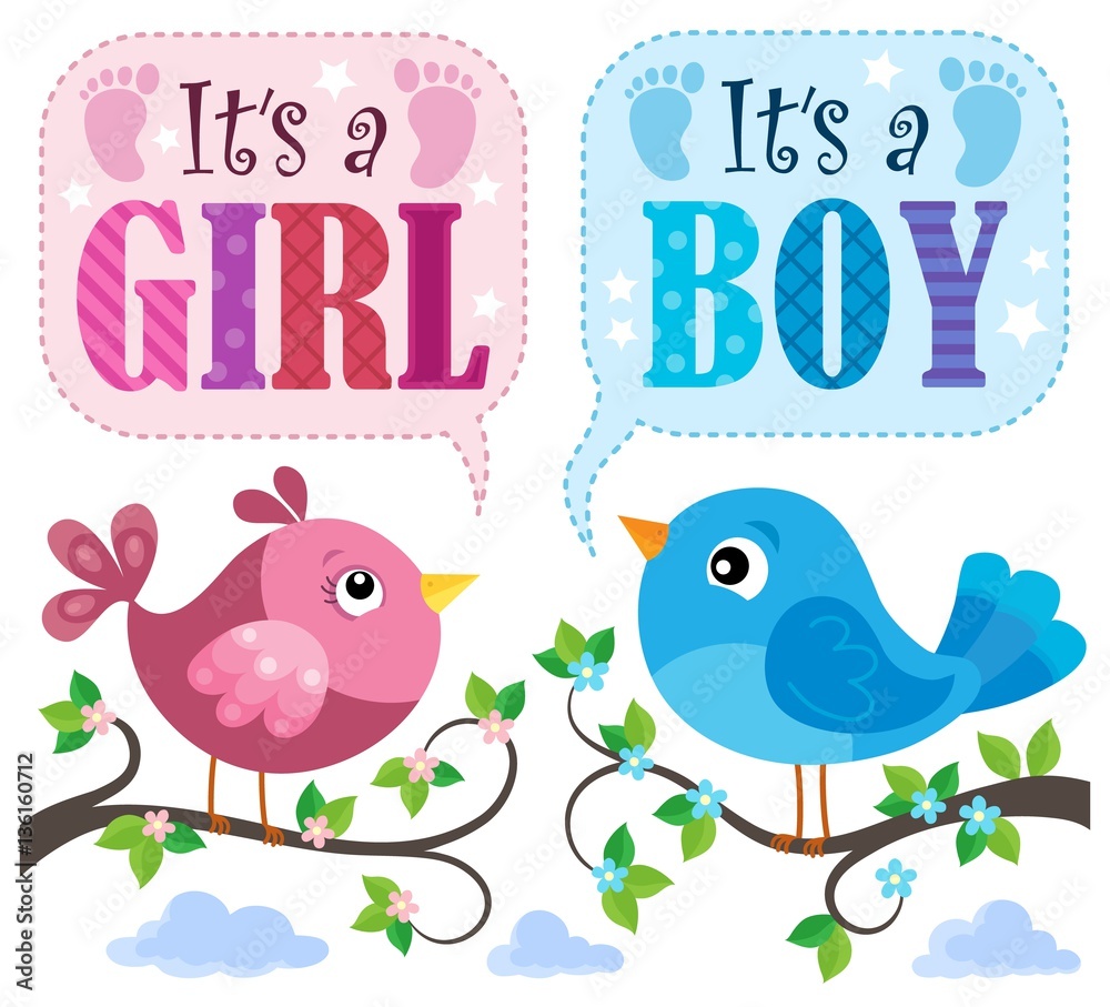 Is it a girl or boy theme 4 Is it a girl or boy theme 4