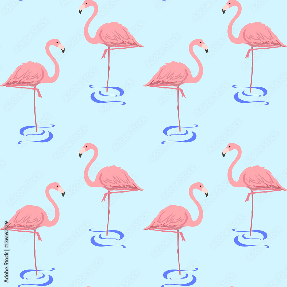 Obraz premium flamingo in the water