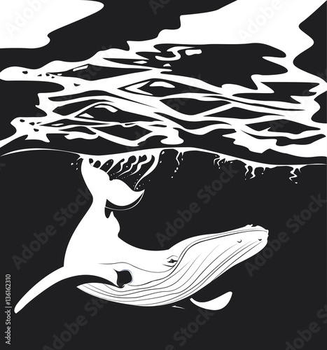 Baleine volant dans l'océan noir et blanc