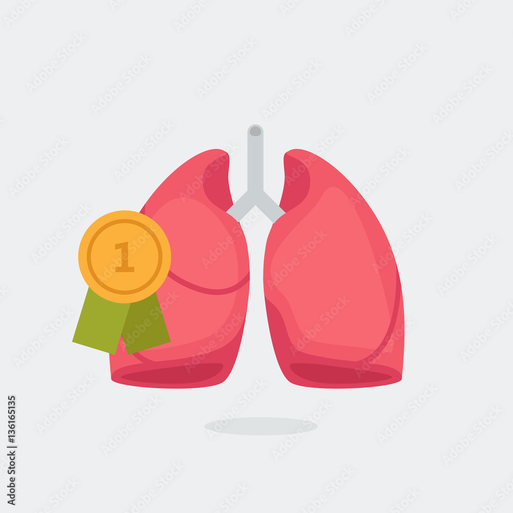 Lungs vector illustration Lungs vector illustration