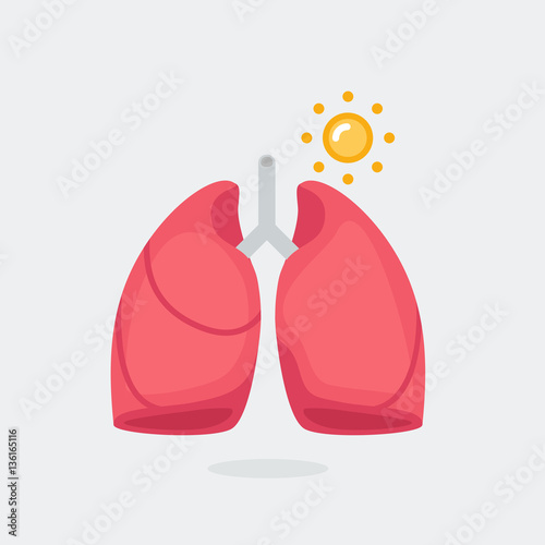 Lungs vector illustration