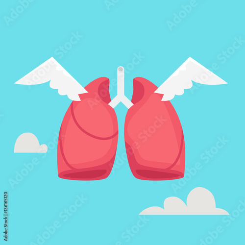 Lungs vector illustration