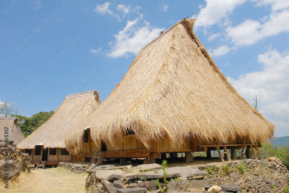 Wologai - a villages in the Ende district with well-maintained houses built in the traditional Lionese architectural style.
Wologai - a villages in the Ende district with well-maintained houses built in the traditional Lionese architectural style.