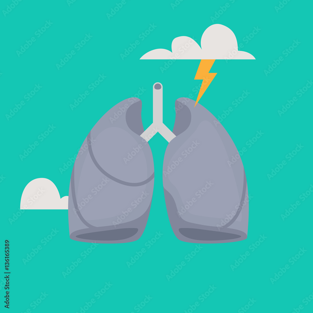 Lungs vector illustration Lungs vector illustration