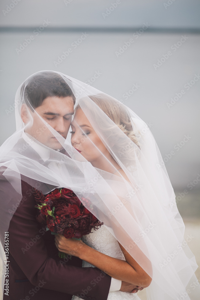 Beautiful couple in wedding day on the coast of the lake. Beautiful couple in wedding day on the coast of the lake.