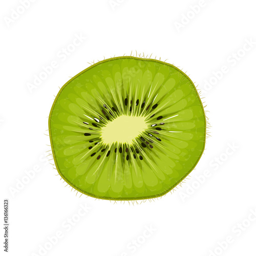 Slice kiwi. Tropical fruits, vector