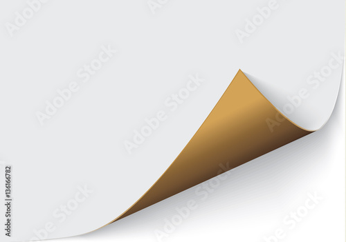 Page curl with shadow on blank sheet of paper.