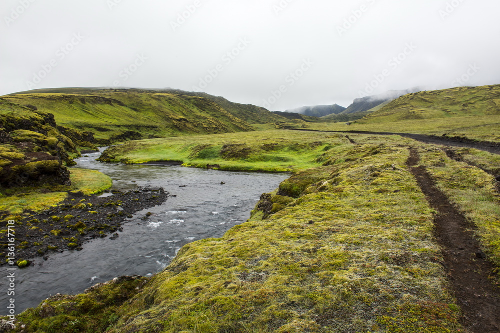 View at Icelandic river during summertime