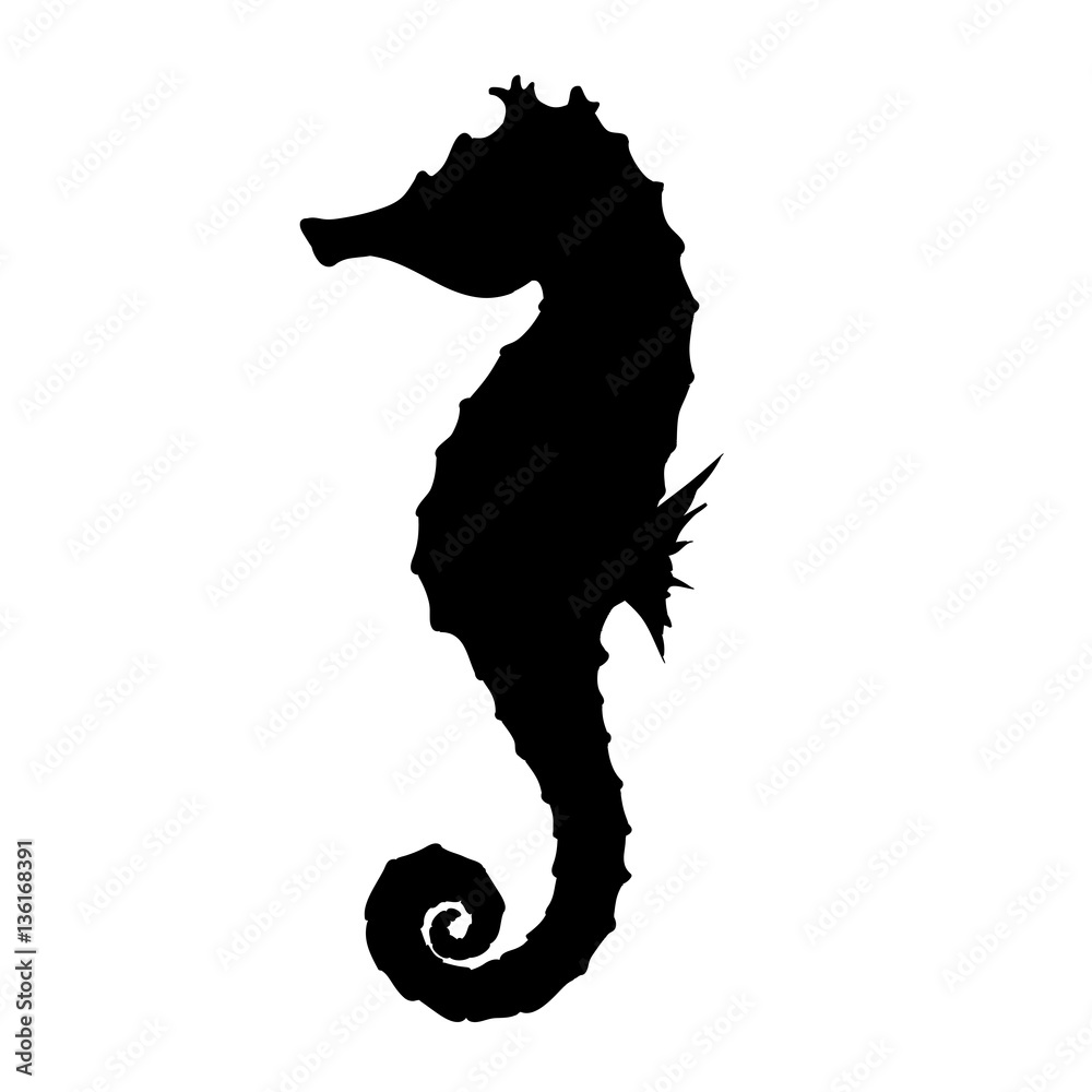 Vettoriale Stock Seahorse Silhouette Illustration | Adobe Stock