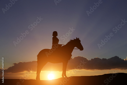 silhouette of a horse and the girl against the backdrop of a beautiful sunset © YURII Seleznov