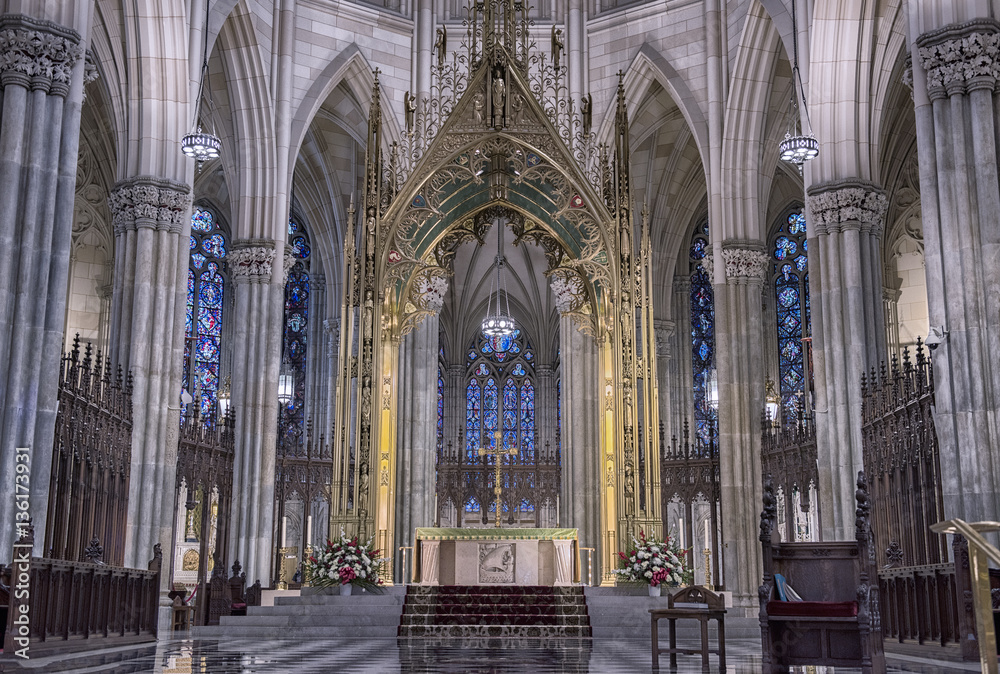 Fototapeta premium St Patrick CAthedral