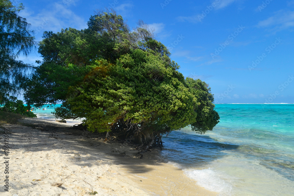 The beautiful island of Saipan. Managaha Island.