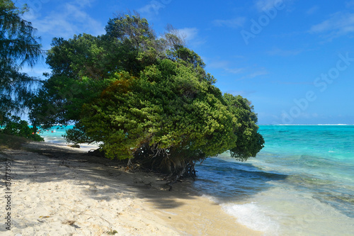The beautiful island of Saipan. Managaha Island.
