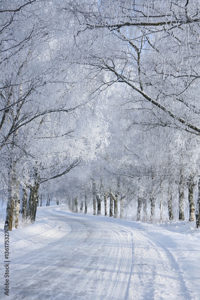 Obraz premium Zimowa droga