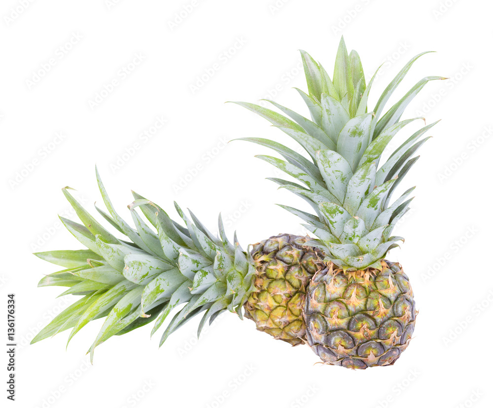 small pineapple isolated on white background small pineapple isolated on white background