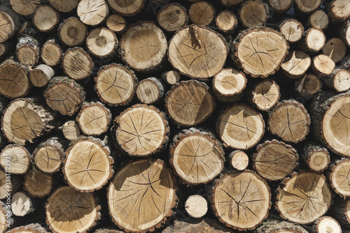 Lumber TImber Trunk Firewood Woodpile Logging Concept