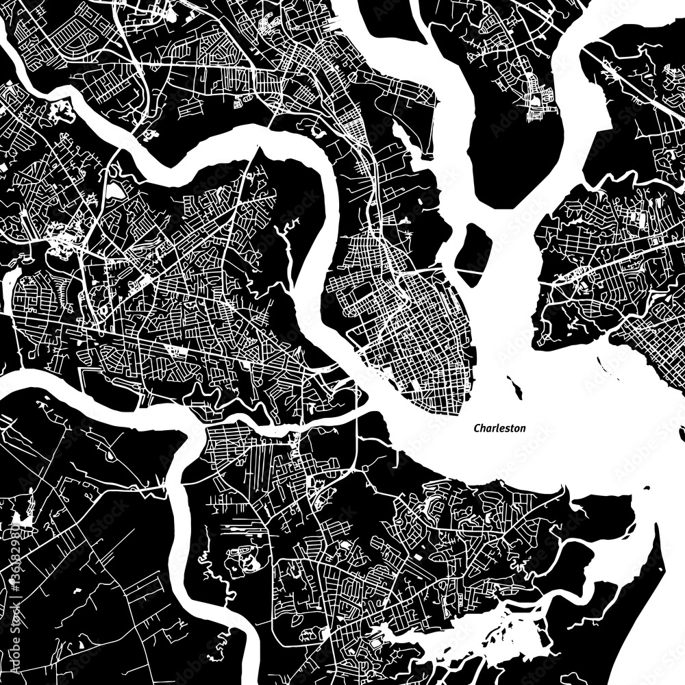 Naklejka premium Mapa wektorowa Charleston