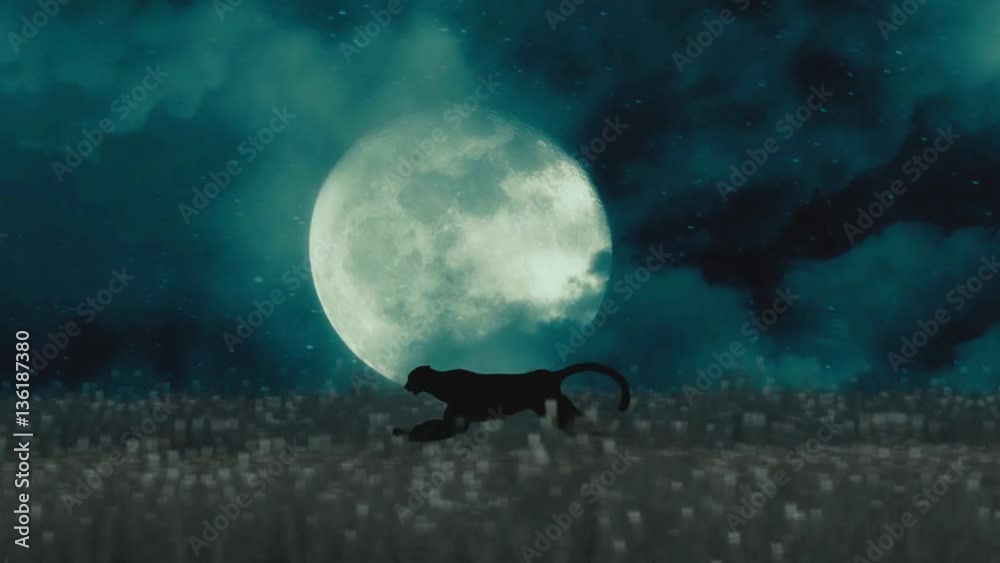 Cheetah or Black Panther Running Through the Night on a Full Moon Background Cheetah or Black Panther Running Through the Night on a Full Moon Background
