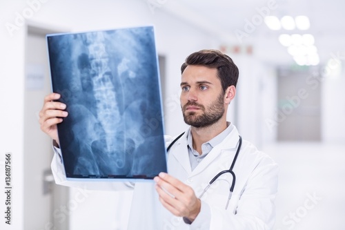Male doctor examining x-ray photo