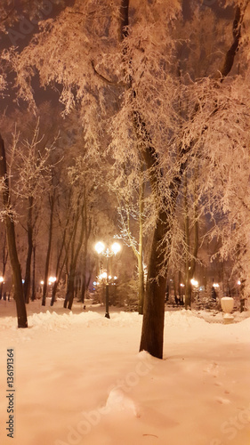 streetlights at evening in Kharkiv winter park © olenadesign