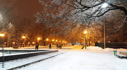 winter evening in Kharkiv park - Ukraine © olenadesign
