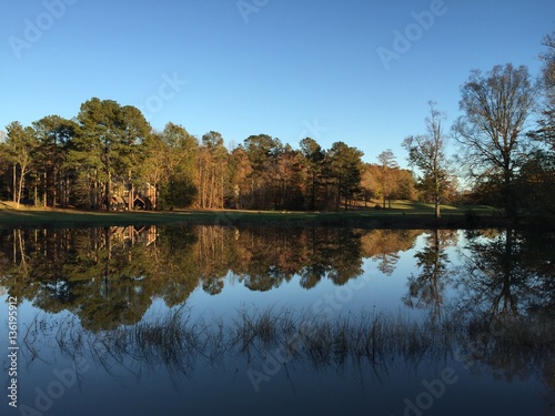 Reflection on the Golf Course