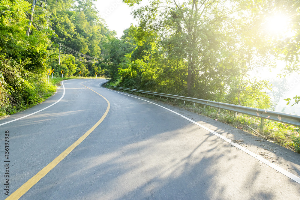 Fototapeta premium Road and tree beside with sunlight