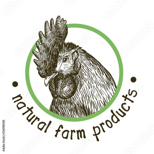 chicken breeding. animal husbandry. livestock