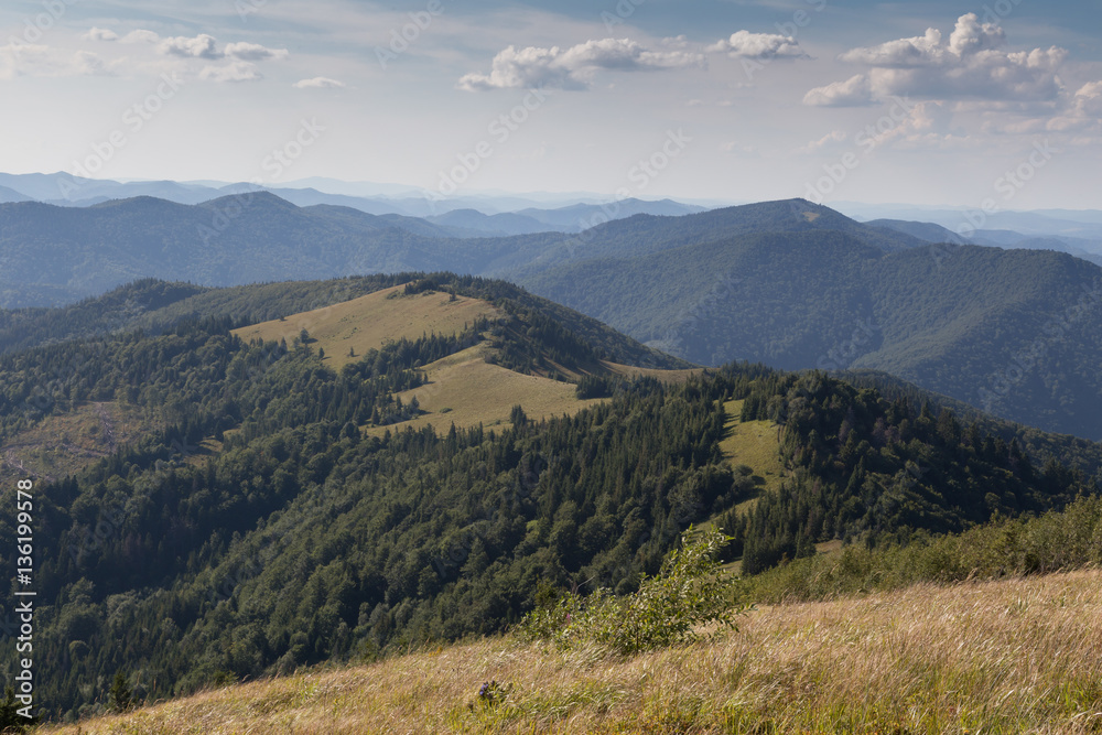 Unique summer Carpathian mountain landscape