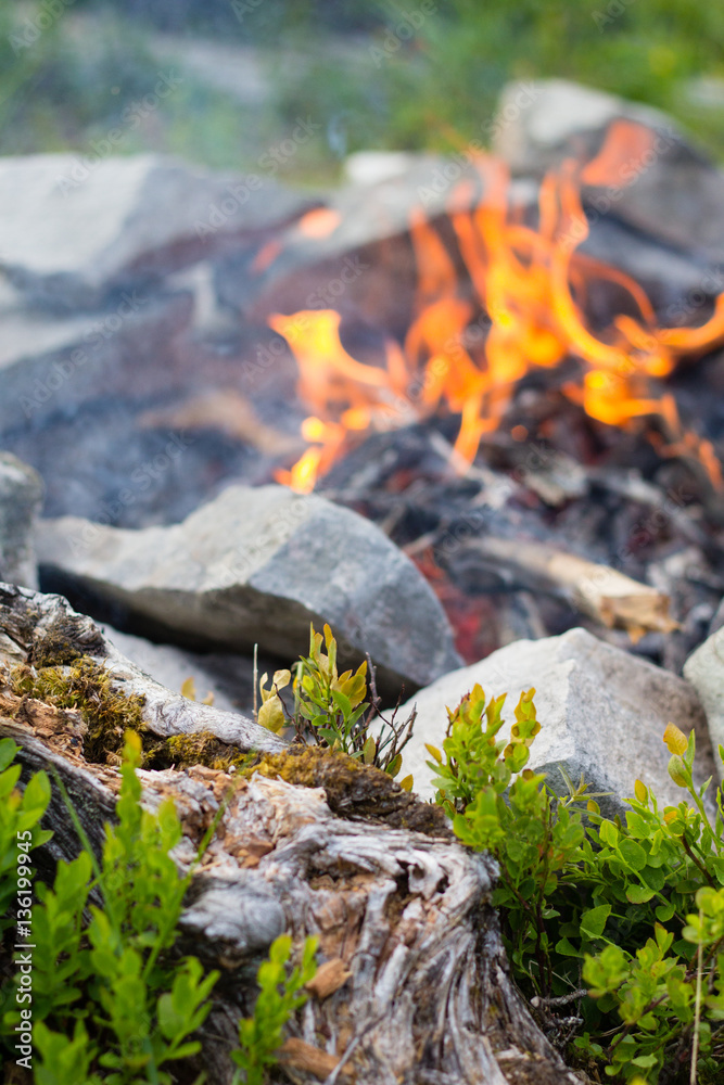Bright bonfire in green summer forest in camp Bright bonfire in green summer forest in camp