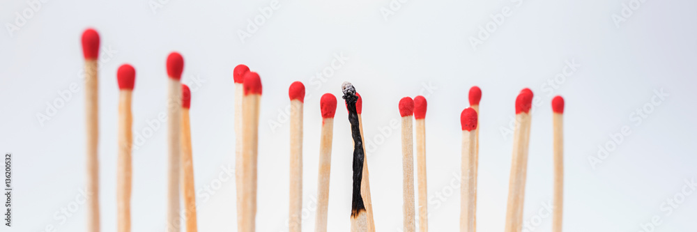 Burnt match between new matchsticks, shallow depth of field Burnt match between new matchsticks, shallow depth of field
