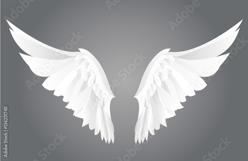 Wings. Vector illustration on grey background.