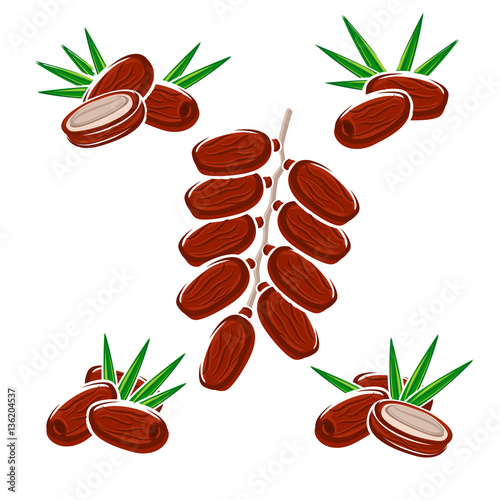 Dates fruit set. Vector