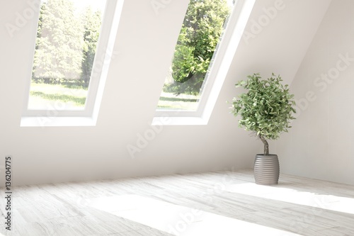 White empty room with flower