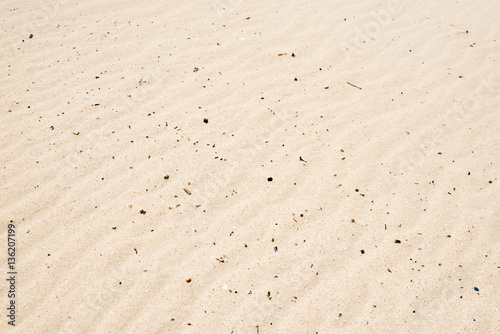 Sand texture closeup