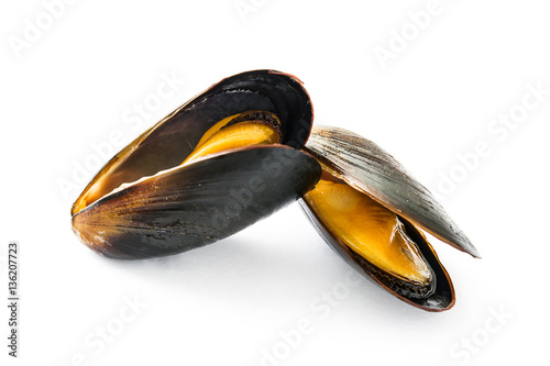 Mussels isolated on white background 