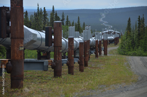The Trans alaska pipeline