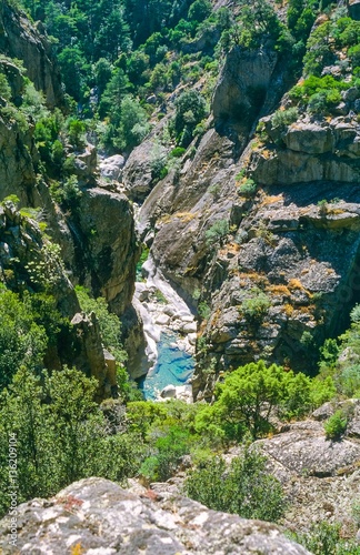 Tal des Flusses Tavignano, Hängebrücke, Haute-Corse, Korsika, Frankreich, Europa photo