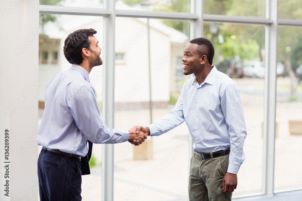 Business executives shaking hands with each other