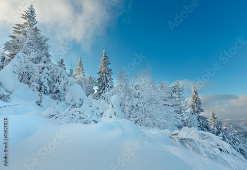 Winter Ukrainian Carpathian Mountains landscape.