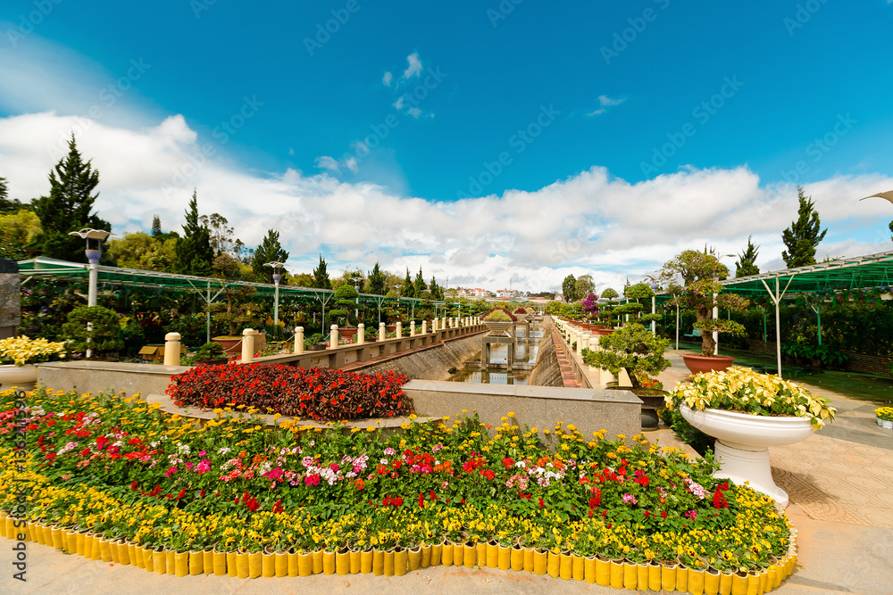 Colorful spring summer park with flowers in sunny day